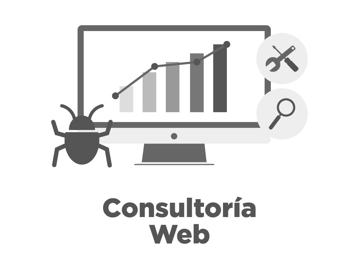 consultoria web