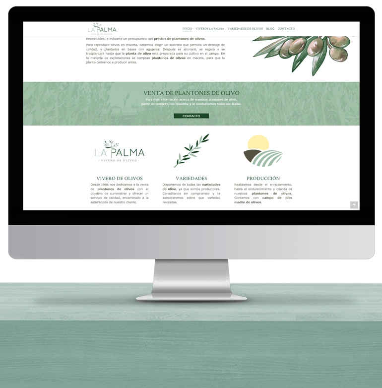 Diseño de páginas web profesionales en Jaén